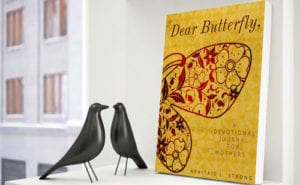 butterfly-book