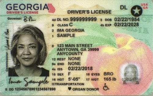 new ga license