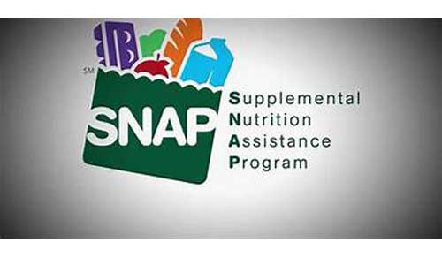 apply for snap benefits online ga