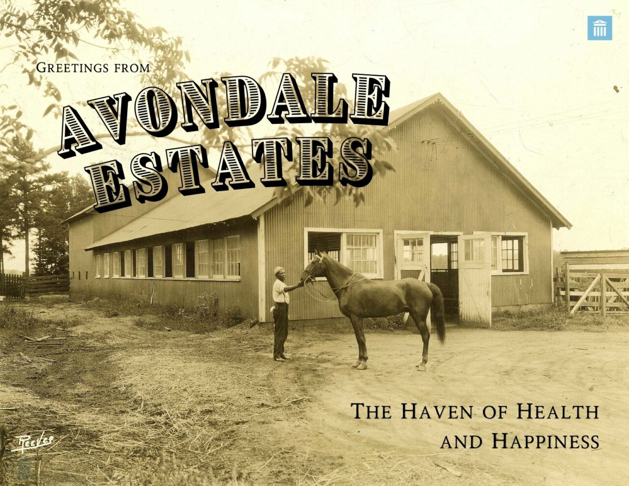 DHC - Haven of Health and Happiness Graphic