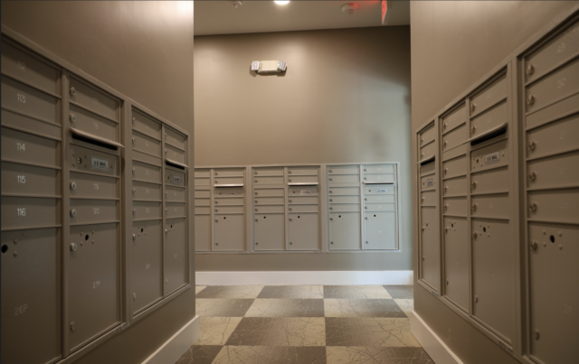 Screen Shot 2021-11-05 at 7.03.20 PM