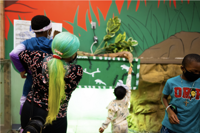 Screen Shot 2021-12-29 at 12.17.28 PM