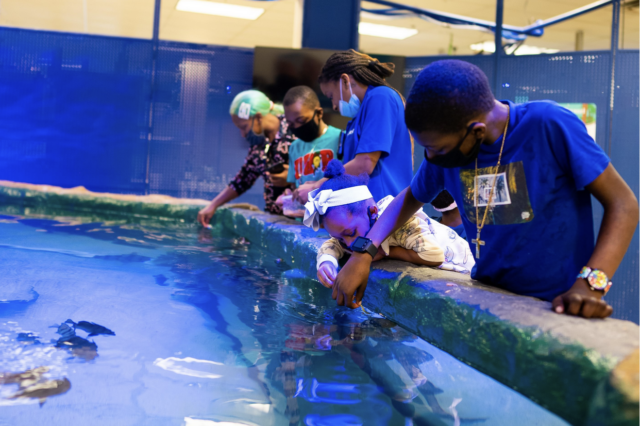 Screen Shot 2021-12-29 at 12.18.10 PM