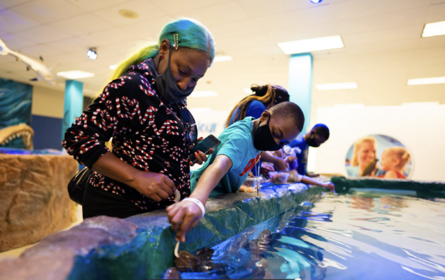 Screen Shot 2021-12-29 at 12.18.27 PM