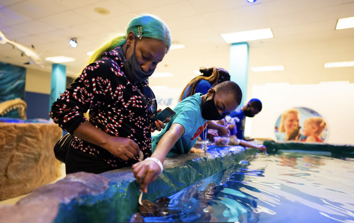 Screen Shot 2021-12-29 at 12.18.27 PM