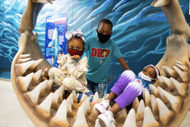 Screen Shot 2021-12-29 at 12.19.03 PM