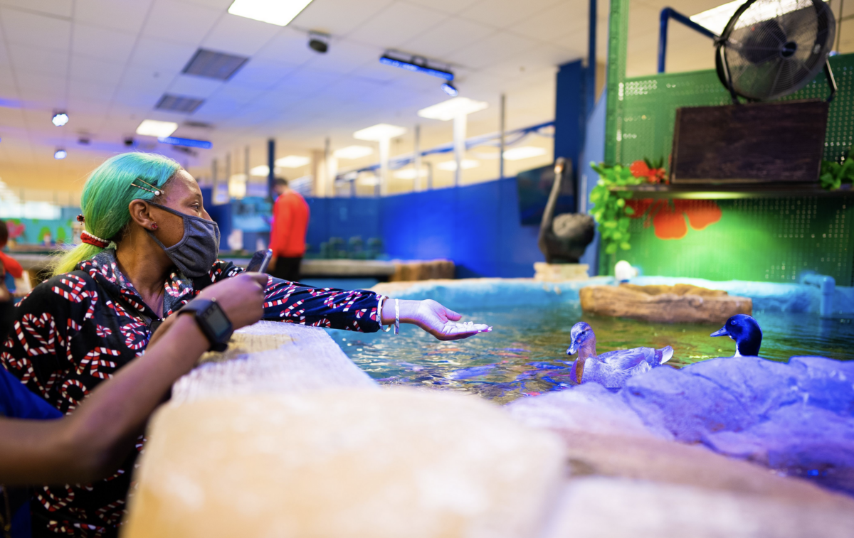 Screen Shot 2021-12-29 at 12.19.28 PM