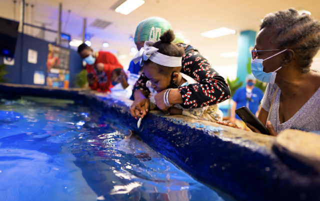 Screen Shot 2021-12-29 at 12.19.48 PM