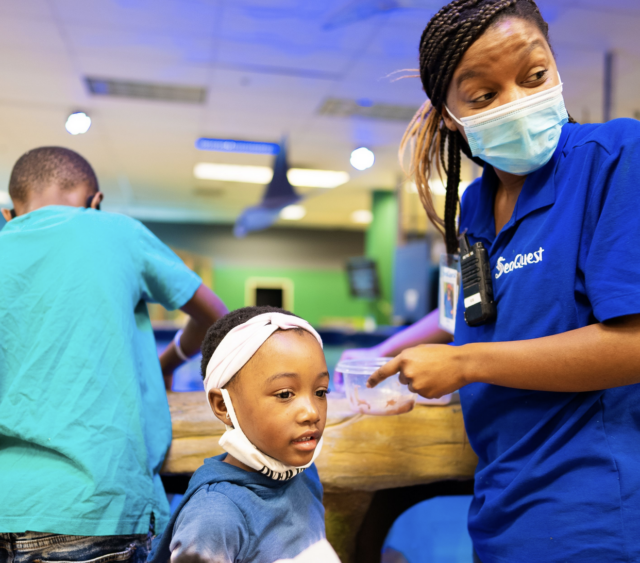 Screen Shot 2021-12-29 at 12.20.13 PM