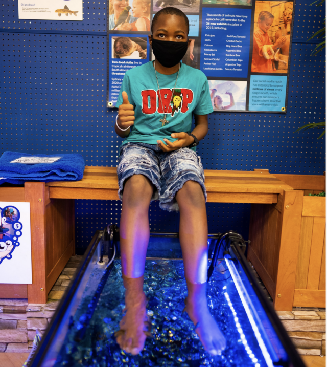 Screen Shot 2021-12-29 at 12.21.25 PM