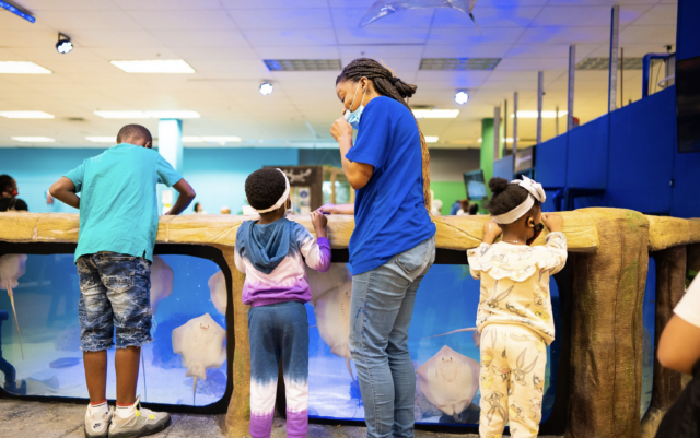 Screen Shot 2021-12-29 at 12.22.00 PM