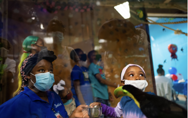 Screen Shot 2021-12-29 at 12.23.51 PM