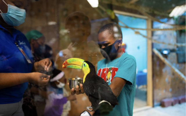 Screen Shot 2021-12-29 at 12.24.11 PM