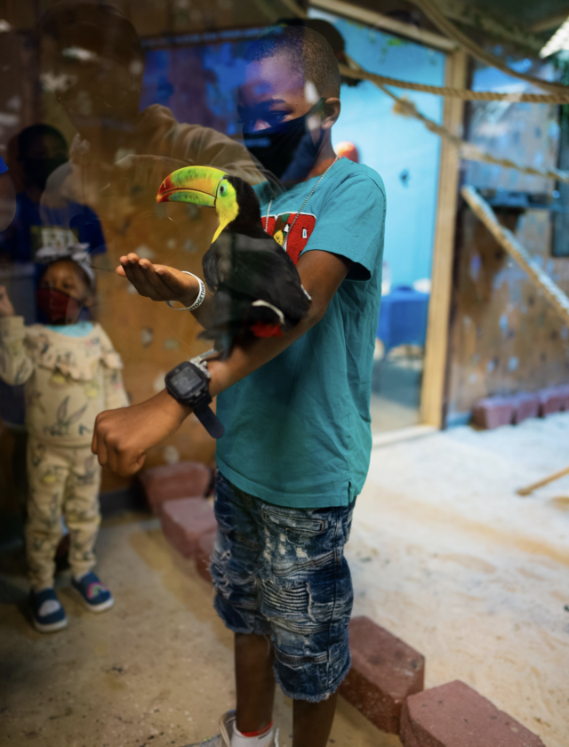 Screen Shot 2021-12-29 at 12.31.29 PM