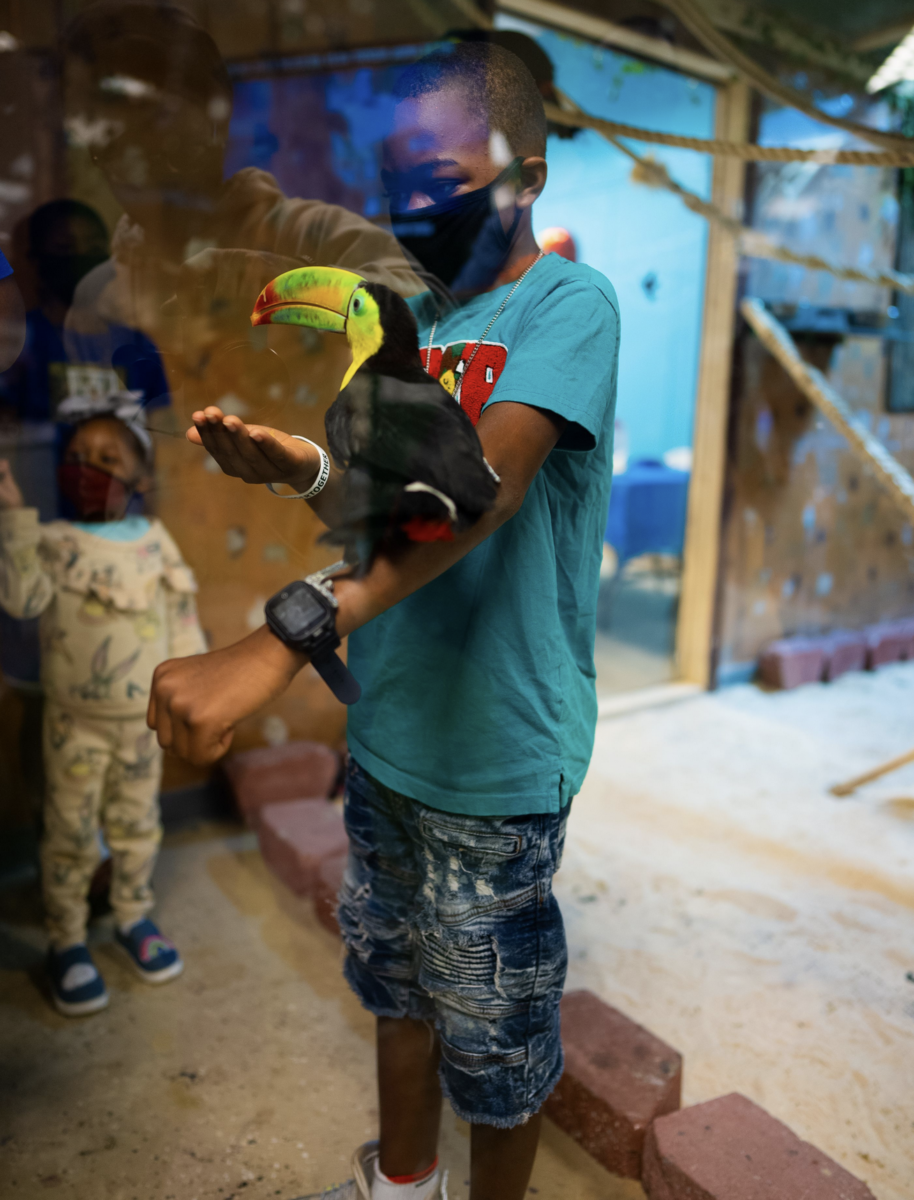 Screen Shot 2021-12-29 at 12.31.29 PM