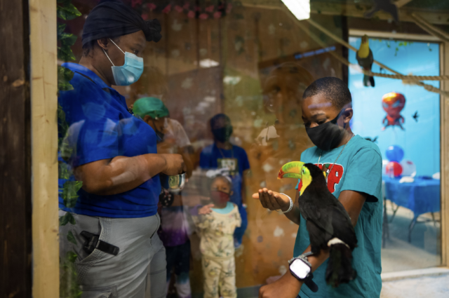 Screen Shot 2021-12-29 at 12.31.51 PM