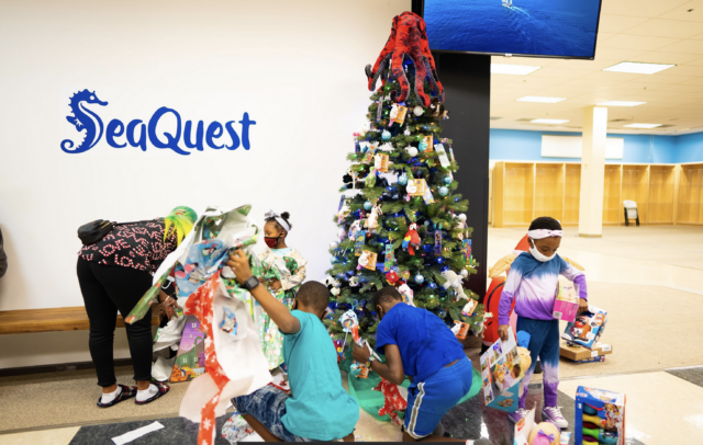 Screen Shot 2021-12-29 at 12.32.44 PM