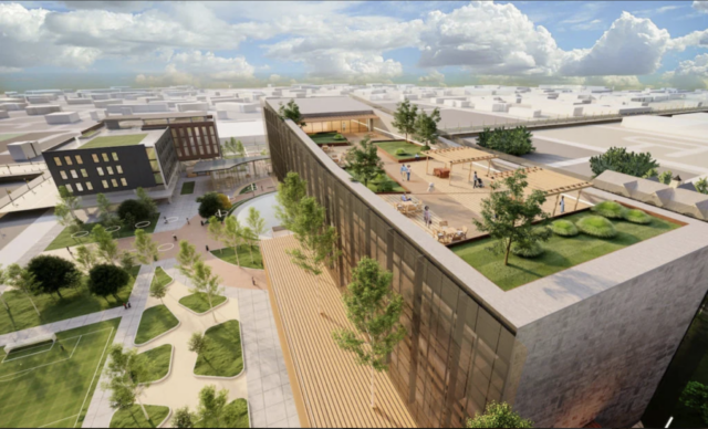 Screen Shot 2022-02-24 at 12.38.29 PM