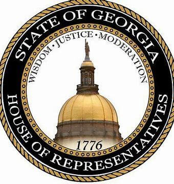 georgia committee assignments
