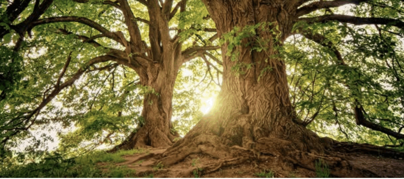 Gwinnett County residents mobilize to halt proposed crematory funeral home