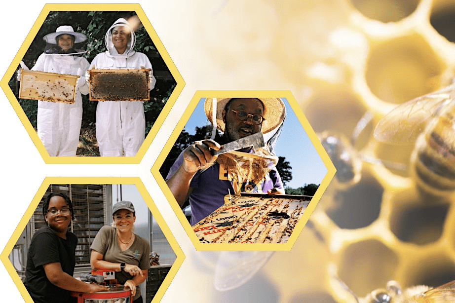 DeKalb County Parks to host beekeeping program at E.M.B.A.R.C. Farm Aug. 29