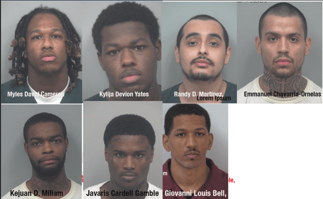Gwinnett County: 7 plead guilty to burglarizing 492 vehicles, ring to serve over 60 years combined