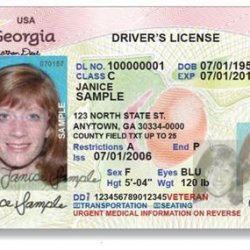 Replace a driver’s license online and drive on the receipt - On Common ...